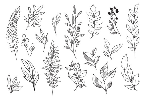 Golden Floral Line Art: Premium Graphic Templates Review